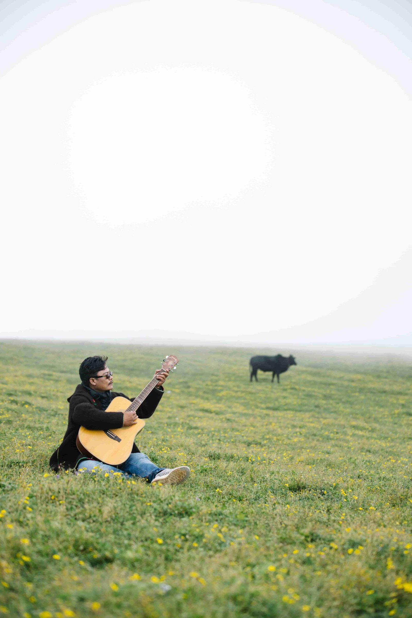 Guitar — Live